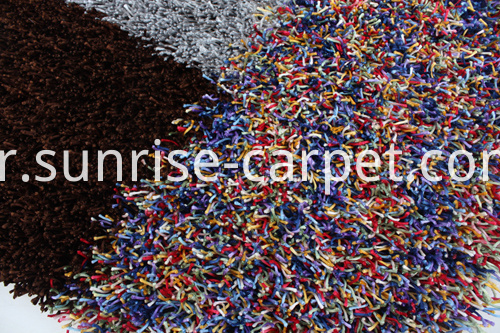 Viscose Polyester Shaggy avec Tapis de Design Viscose Polyester Shaggy with Design Rug